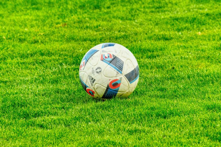 Ronaldo, Schick e gli altri: confronto tra i goleador di Euro 2020