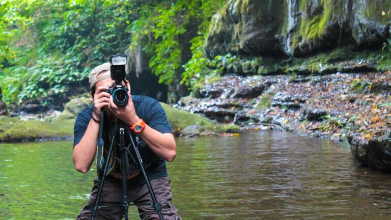 Il fascino della fotografia naturalistica: come avvicinarsi a questa arte