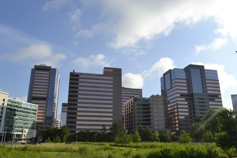 Sviluppo sostenibile immobiliare: L’importanza dell’efficienza energetica, dei materiali eco-friendly e delle certificazioni ambientali